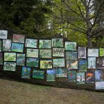 498146267_1082981140521909_4407299478373637303_n