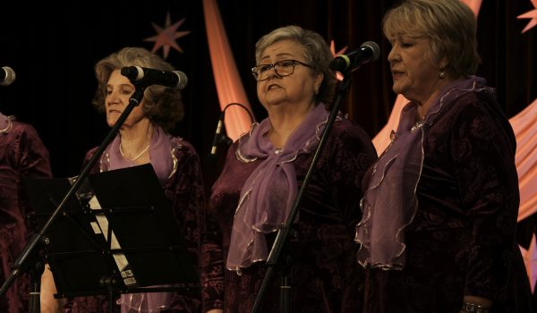 Seirijuose vykęs ansamblių vakaras kvietė pasivaikščioti dainoj!