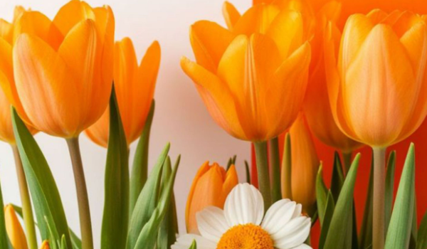 Koncertas „Gražiausi žiedai Tau, Mama“, skirtas Motinos dienai